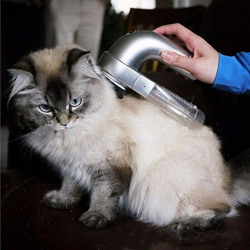 Aspirateur À Poils D'Animaux