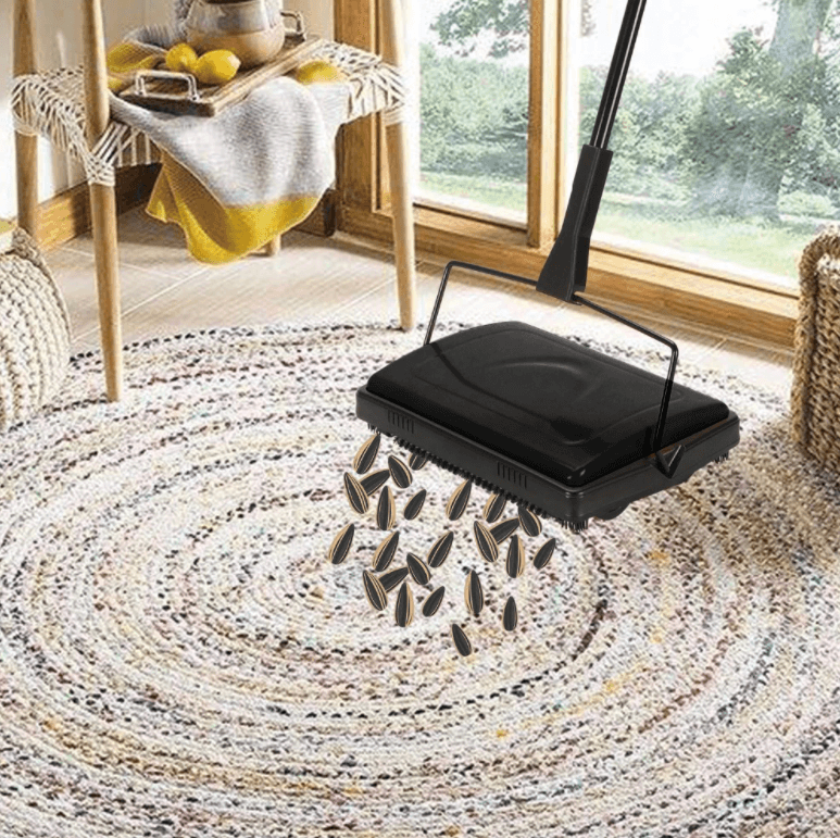 Balai Manuel Pour Tapis Et Sols