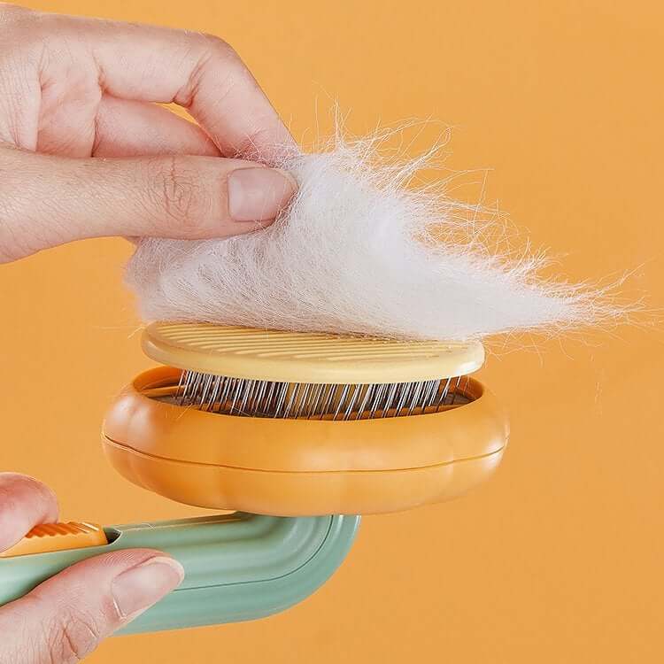Brosse À Poils De Citrouille