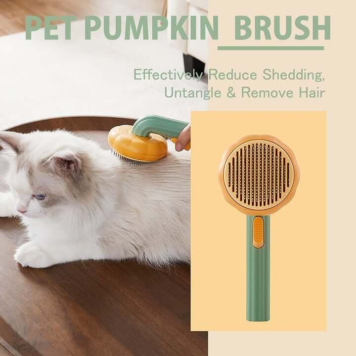 Brosse À Poils De Citrouille