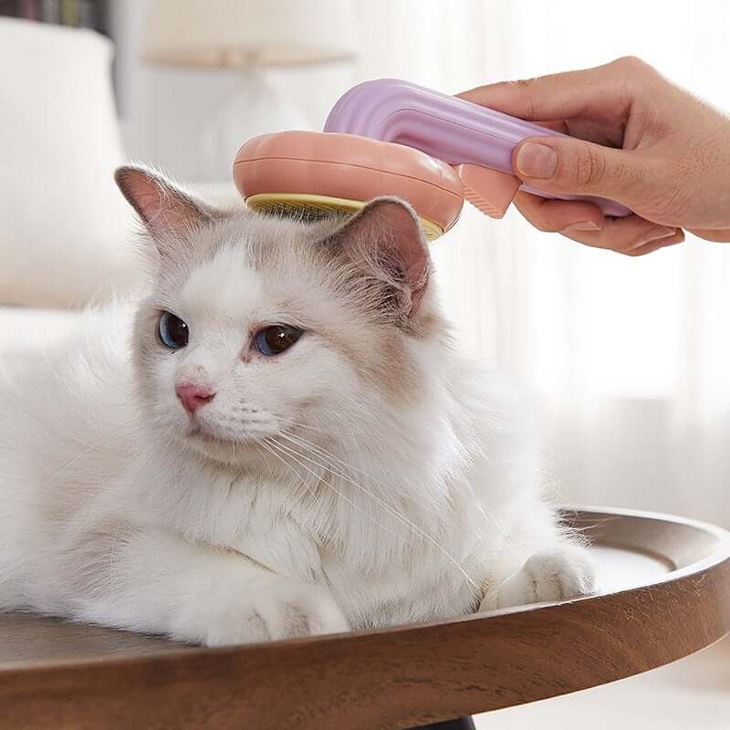 Brosse À Poils De Citrouille