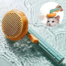 Brosse À Poils De Citrouille