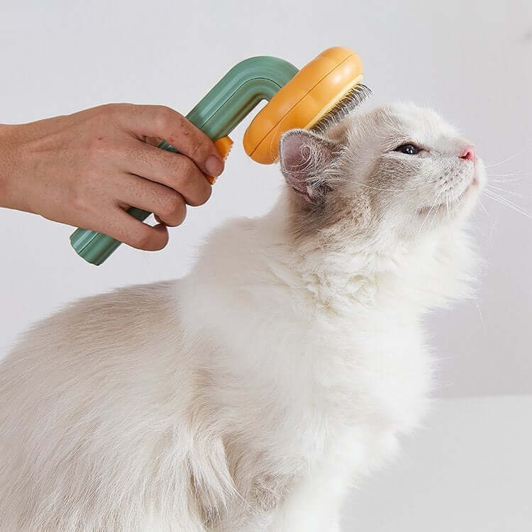Brosse À Poils De Citrouille