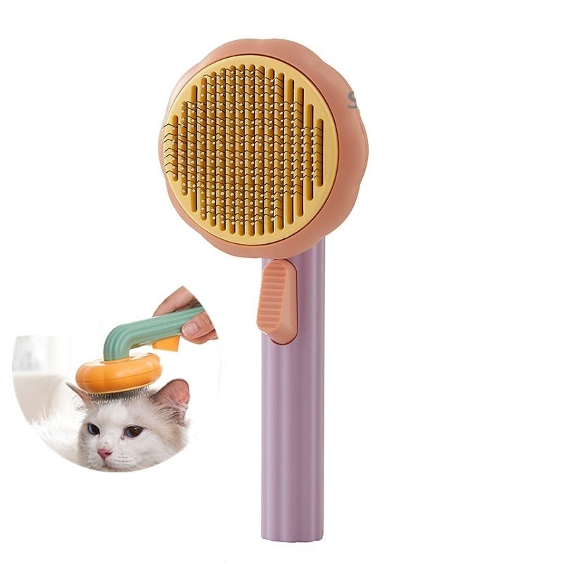 Brosse À Poils De Citrouille