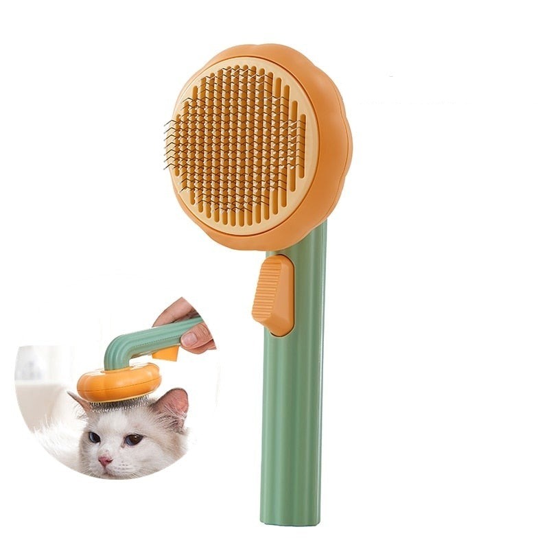 Brosse À Poils De Citrouille