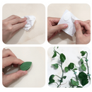 Clip De Fixation De L'Artefact De La Plante Grimpante