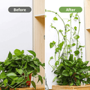 Clip De Fixation De L'Artefact De La Plante Grimpante