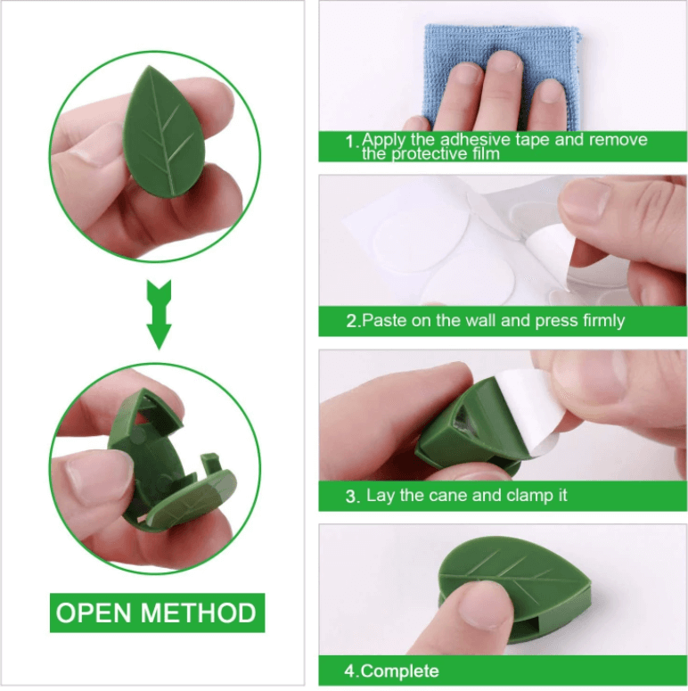Clip De Fixation De L'Artefact De La Plante Grimpante