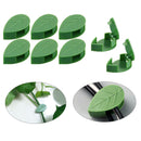 Clip De Fixation De L'Artefact De La Plante Grimpante