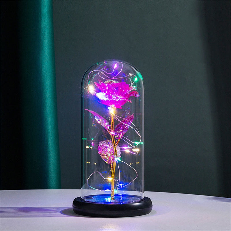 Dôme Lumineux Rose Perpétuelle