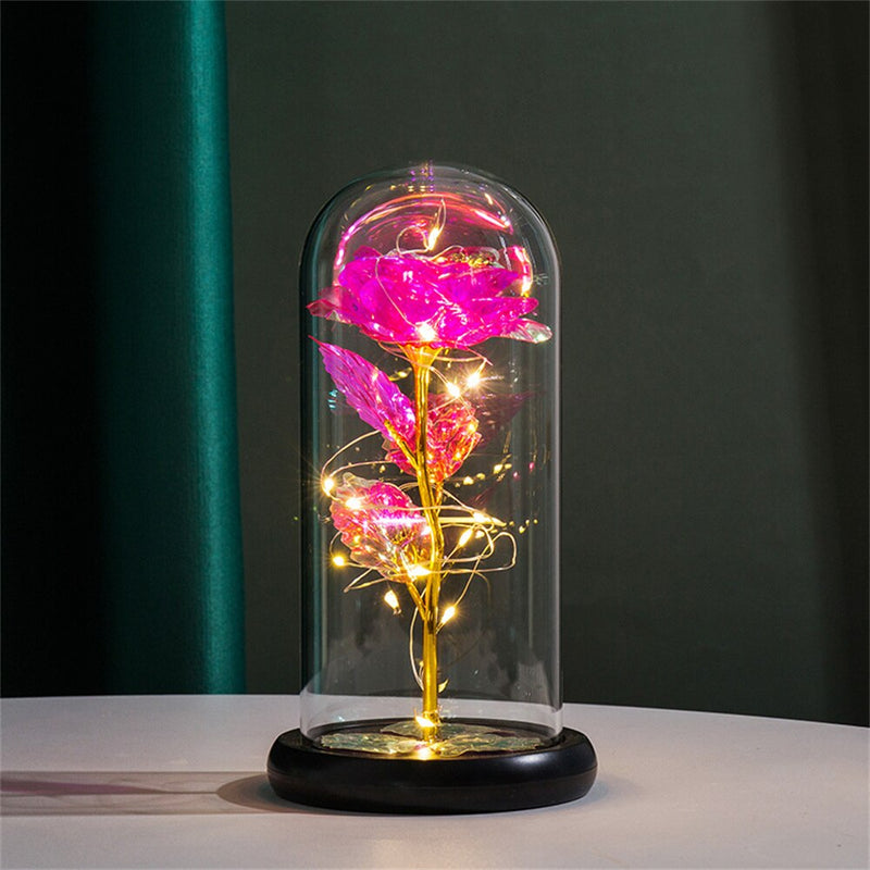 Dôme Lumineux Rose Perpétuelle