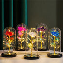 Dôme Lumineux Rose Perpétuelle