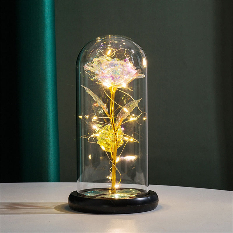 Dôme Lumineux Rose Perpétuelle
