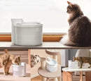 Fontaine À Eau Pour Chat Avec Capteur Intelligent