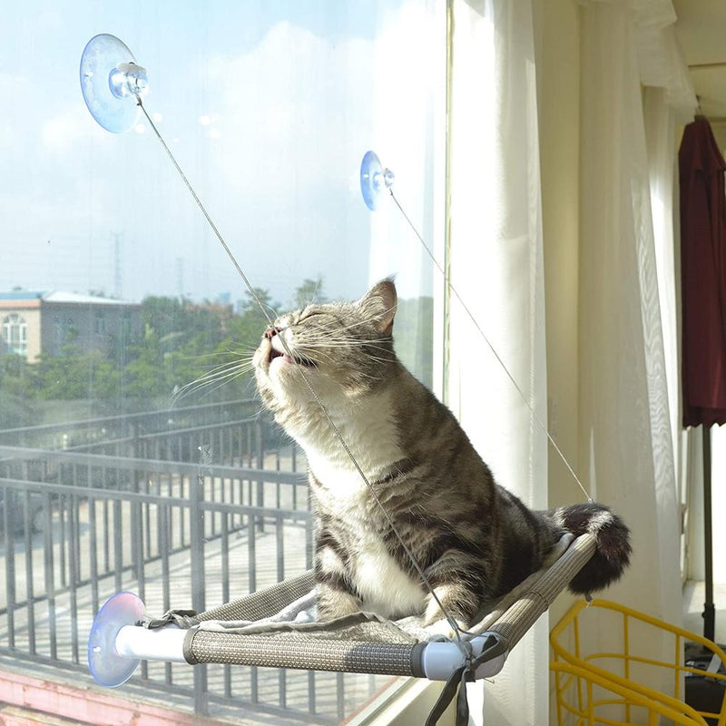 Hamac De Fenêtre Pour Chat