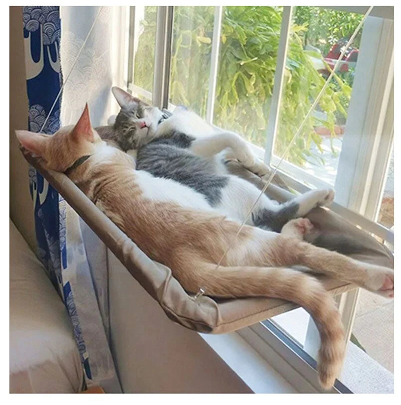 Hamac De Fenêtre Pour Chat