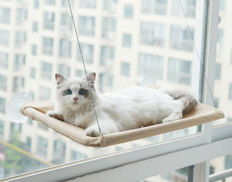Hamac De Fenêtre Pour Chat