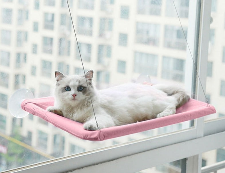 Hamac De Fenêtre Pour Chat