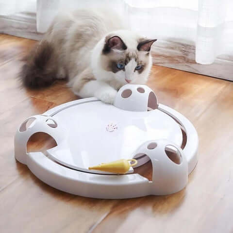 Jouet Pour Chat Pounce