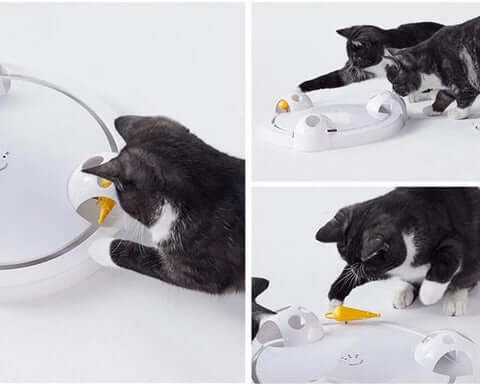 Jouet Pour Chat Pounce