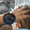 Savon Organique Hair Eclipse