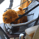 Siège De Sécurité Pour Animaux De Compagnie