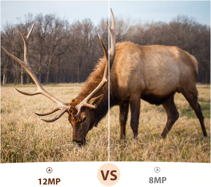 Wildcam Pro